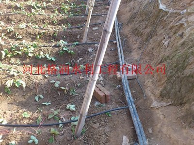 圆柱滴灌管蓬安县龙蚕灌溉蔬菜大棚