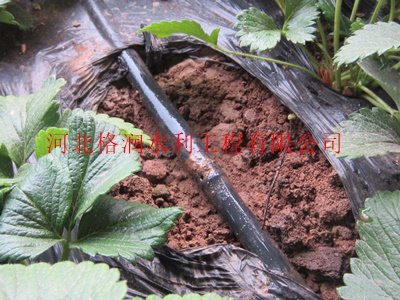 冬季蔬菜大棚圆柱式蓬安县龙蚕滴灌管套装