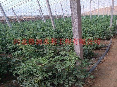 大棚专用圆柱滴灌管|蓬安县龙蚕滴灌毛管