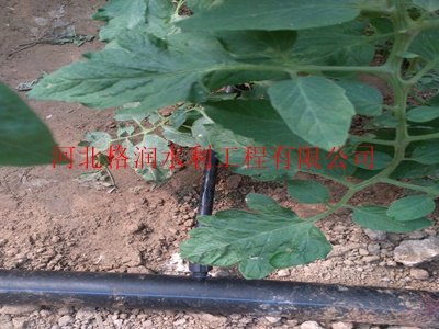 厂家直销蓬安县龙蚕蔬菜大棚节水圆柱形滴灌管