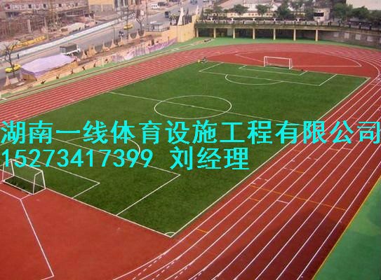 湘潭塑胶跑道工程造价，湘潭塑胶跑道尺寸建设湖南一线体育设施工程有限公司