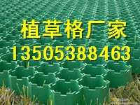 锦州停车位植草格 高抗压70植草格