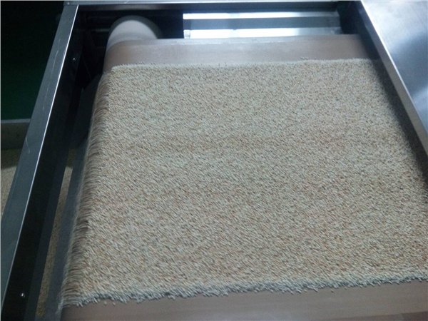 微波粮食烘干设备价格,微波五谷杂粮熟化设备报价及厂家