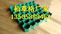 台州停车场植草格；5公分植草格/生产厂家