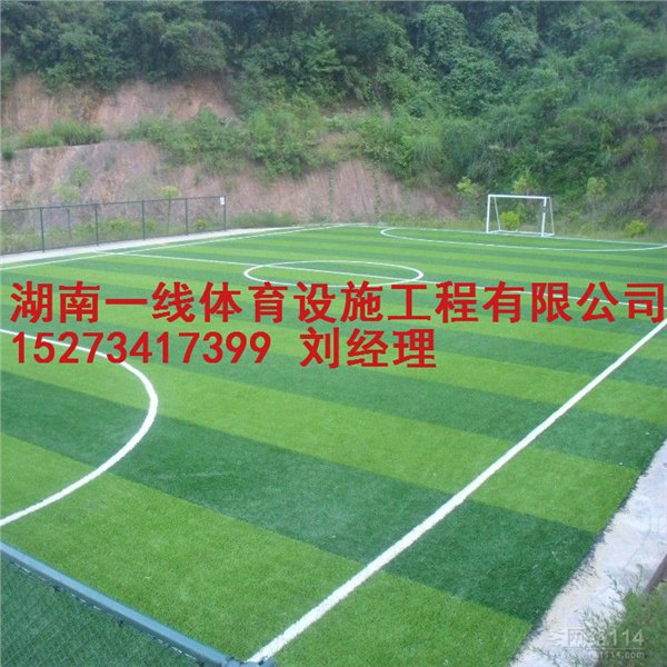 湘潭人造草场报价，足球场假草质量湖南一线体育设施工程有限公司
