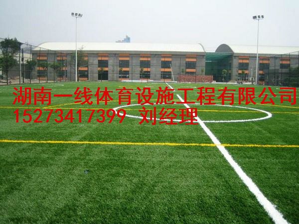 娄底人造草皮铺设人工草销售价格湖南一线体育设施工程有限公司    