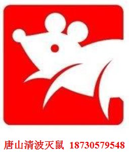 唐山灭蟑螂公司|唐山灭老鼠公司|唐山杀虫公司|唐山消杀公司