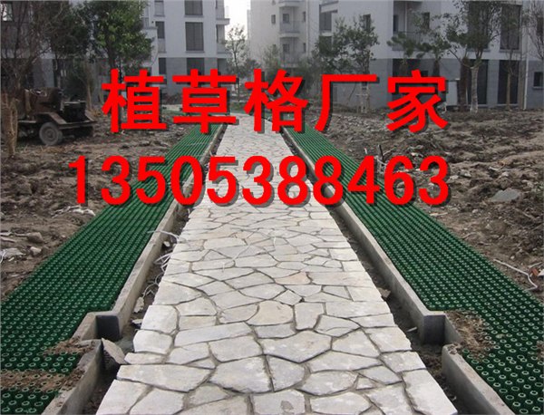 深圳植草格厂家/绿化植草格