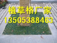 汕头绿化植草格厂家/7公分植草格