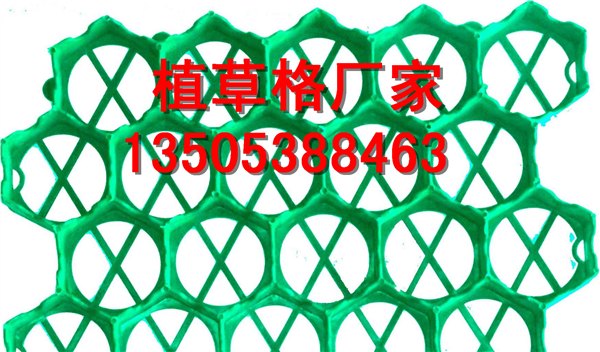 遵义植草格厂家塑料植草格/规格齐全