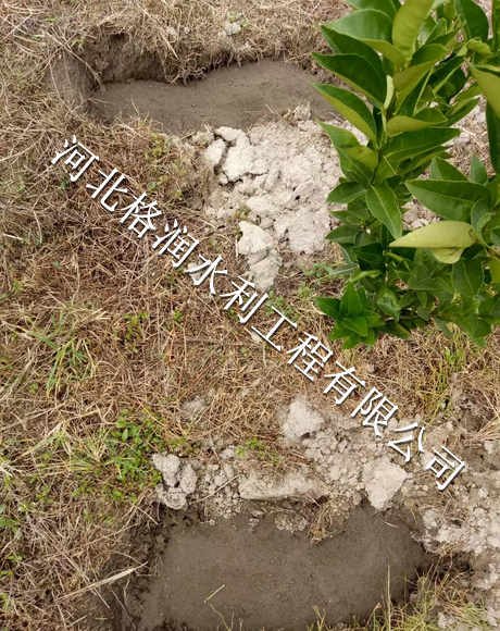 小管出流、过滤器|西充县青狮果园黑色毛管