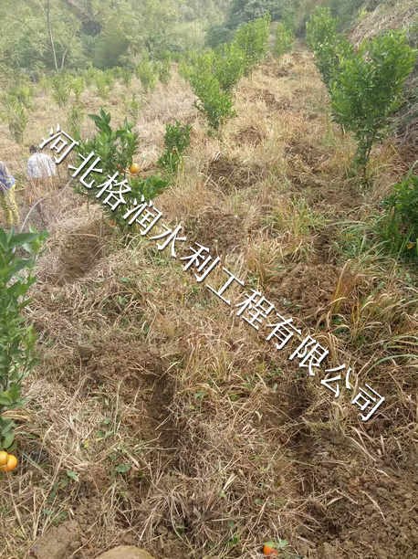 小管出流PE管|西充县青狮滴头厂家