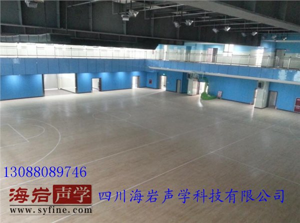 成都绵阳德阳学校篮球馆声学设计方案篮球馆声学设计公司海岩声学