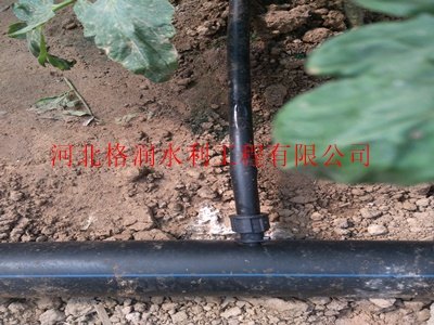 四川米易县滴灌管厂家|滴水软管