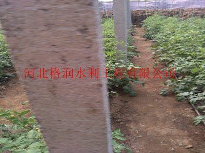 四川米易县新型灌溉产品|滴水毛管