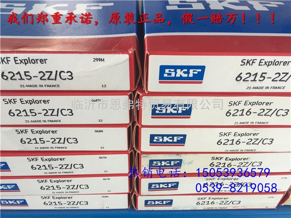 供应SKF原装进口深沟球轴承6215-2Z/C3