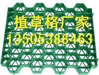 大庆停车场植草格/塑料植草格】特价销售