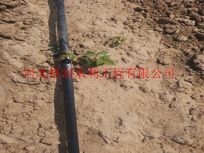 内镶贴片式滴灌带东区密地供应产品