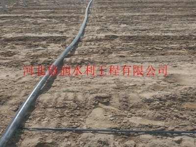 东区密地滴带壁厚0.15-0.4mm|畅销