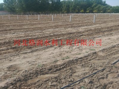 流量2-3L/h|东区密地滴水管带