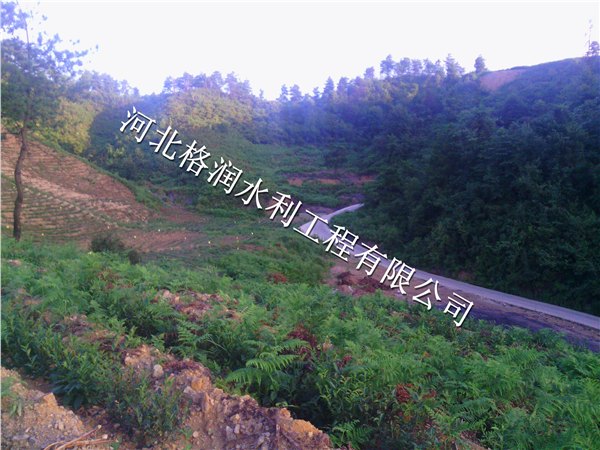 攀枝花东区果园滴水毛管价格|高效节水灌溉产品