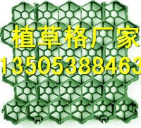 七台河消防通道植草格/生产厂家 