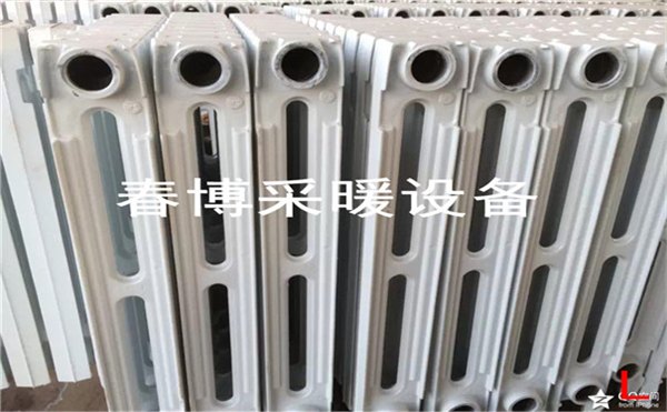 百年铸造精品新艺666铸铁暖气片