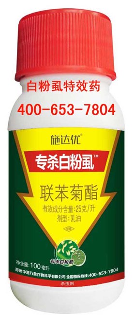 蔬菜基地抗性粉虱专用杀虫剂虫卵全杀辣椒粉虱专用药