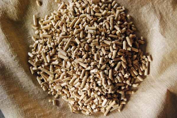生物质蒸汽发生器 免检生物质蒸汽发生器