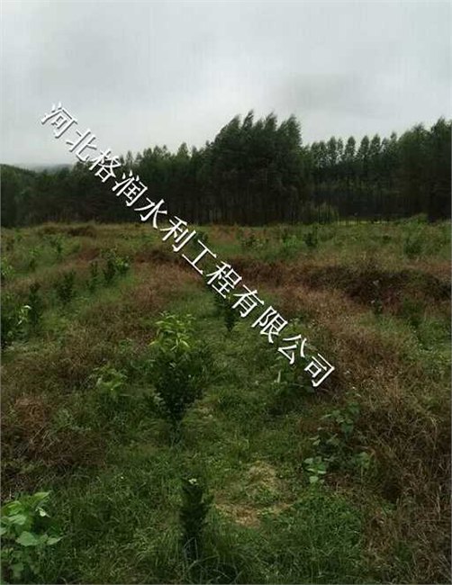果树生产仁和区布德专用PE管|质量可靠