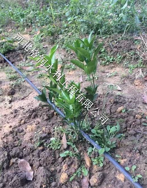 仁和区布德专用PE管价格|配套设施齐全