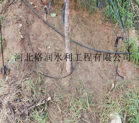小管出流PE管冲击性好|四川仁和区专用厂家