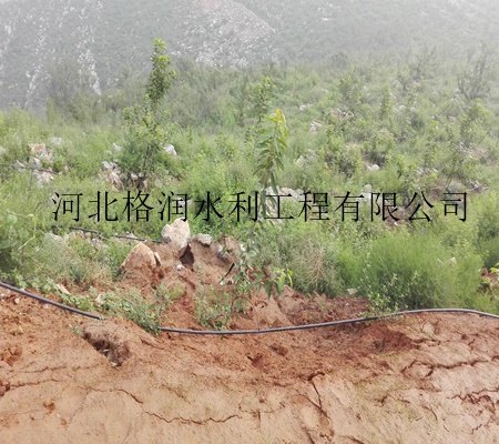 四川仁和区专用小管出流专用PE管