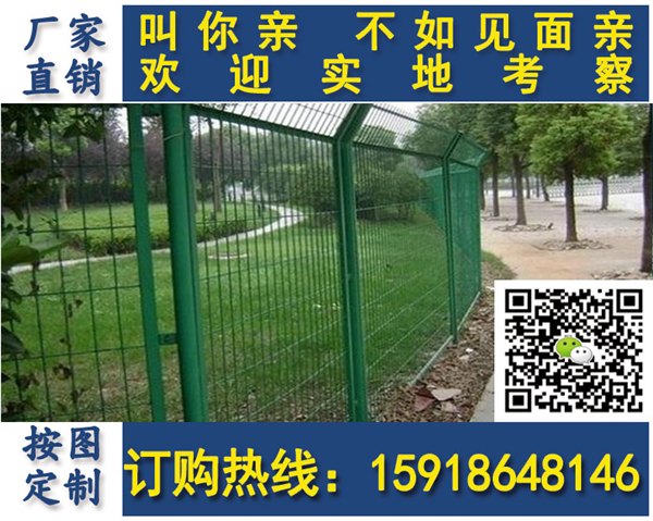 江门公路隔离栅 广州交通护栏可定制 双边丝厂家现货批发