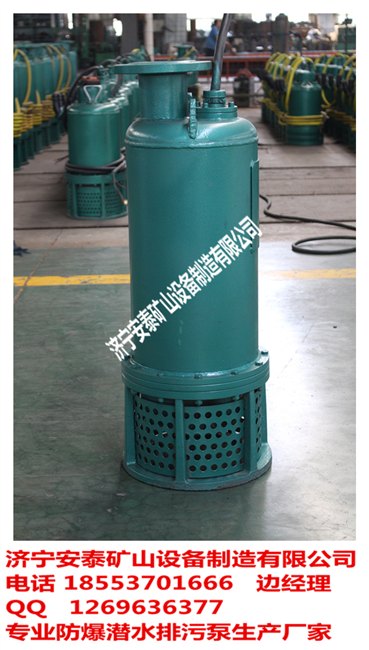 防爆污水泵第一品牌 济宁安泰泵业