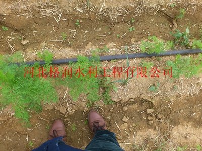 内蒙古赤峰市蔬菜大田滴灌聚乙烯软带抗堵塞