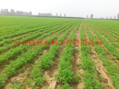 供应内蒙古赤峰市大田滴灌|滴管带|PE软管
