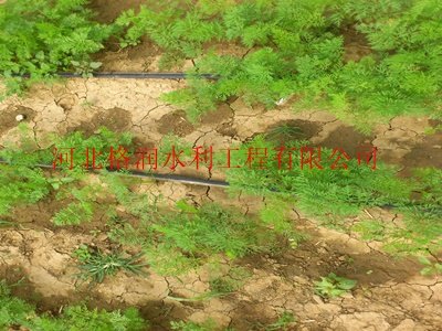 厂家自产自销迷宫式内蒙古赤峰市滴灌带
