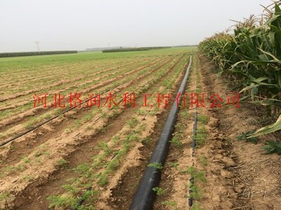 单翼迷宫式滴灌带|赤峰市设备