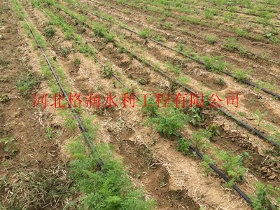 土豆膜下滴灌系统|赤峰市滴灌带