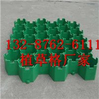 优质植草格-盘锦植草格|欢迎您