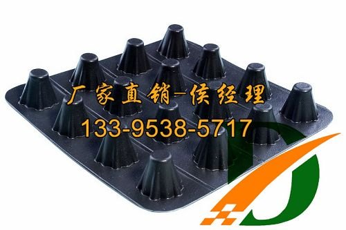 20高塑料凸片排水层