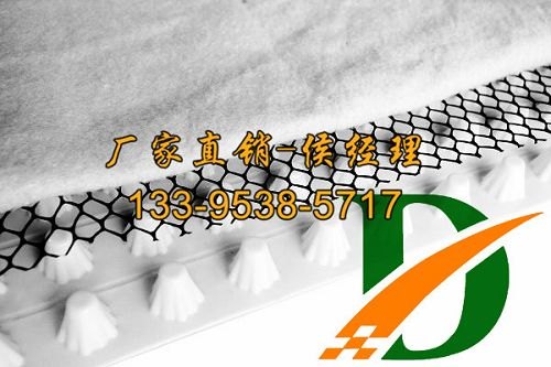 塑料排水片材