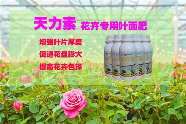 花卉营养叶面肥花卉叶面肥料好用花卉叶面肥