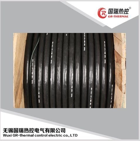 仪表加热软管，国瑞热控，加热管厂家