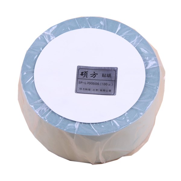 丽标佳能线号机进口贴纸TM-LBC9Y