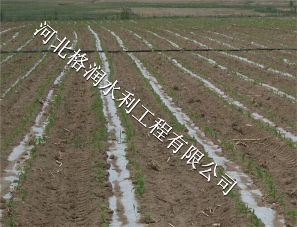 苍溪县永宁大田灌溉塑料管安装方便
