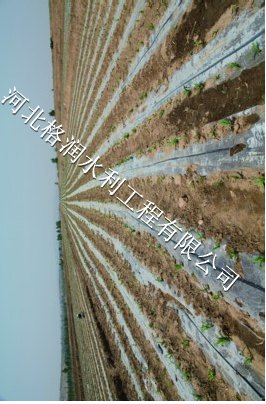 苍溪县永宁大田滴水管商|厂家批发