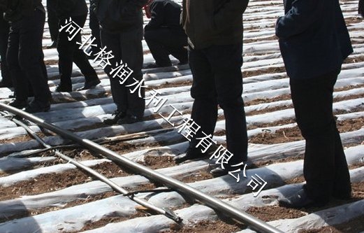 苍溪县永宁生产滴灌管质量可靠