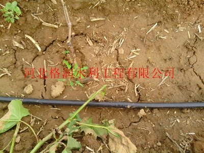 大田优质灌溉管苍溪县永宁价格